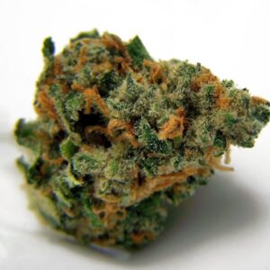 Blueberry Dream Weed