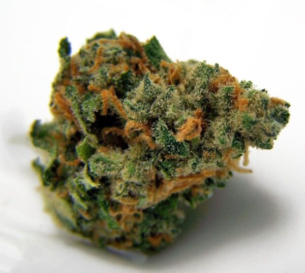 Blueberry Dream Weed